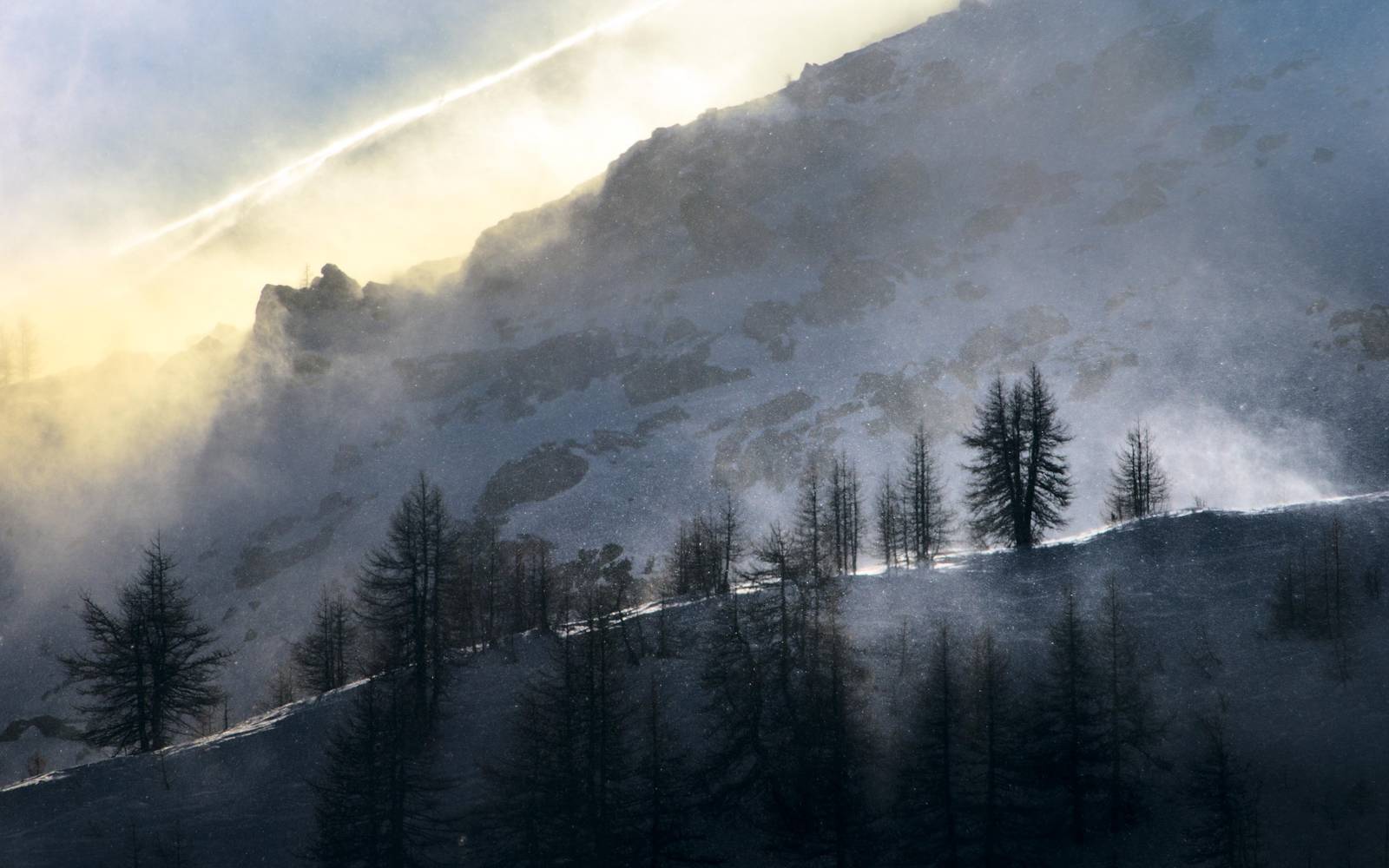 Crête du domaine de Serre Chevalier balayée par la neige à contre-jour, mélèzes en silhouette sur le versant, au-dessus de La Salle-les-Alpes